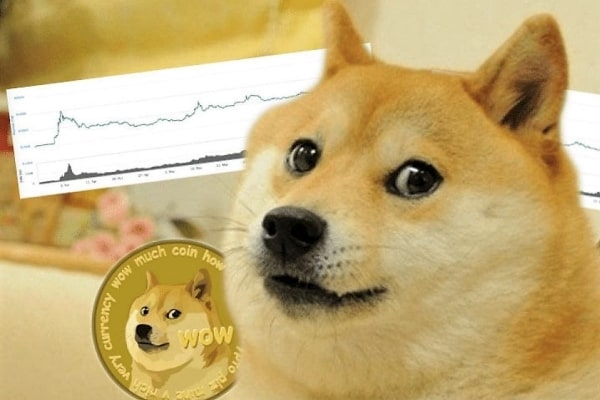 Korancrypto - Bukan Tahun DOGE COIN, Tetapi Investor Tidak Cukup Menikmatinya