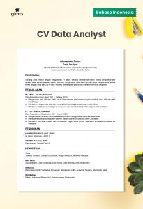 cv data analyst dalam bahasa indonesia