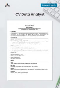 cv data analyst dalam bahasa inggris