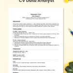 Contoh CV data analyst