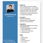 CV teknik informatika