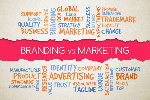 phân biệt marketing manager vs brand manager