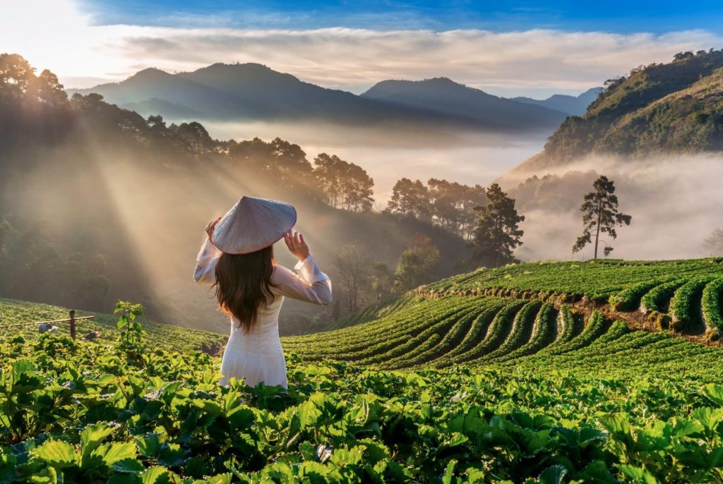Tìm việc làm ngành du lịch ở Việt Nam rất dễ