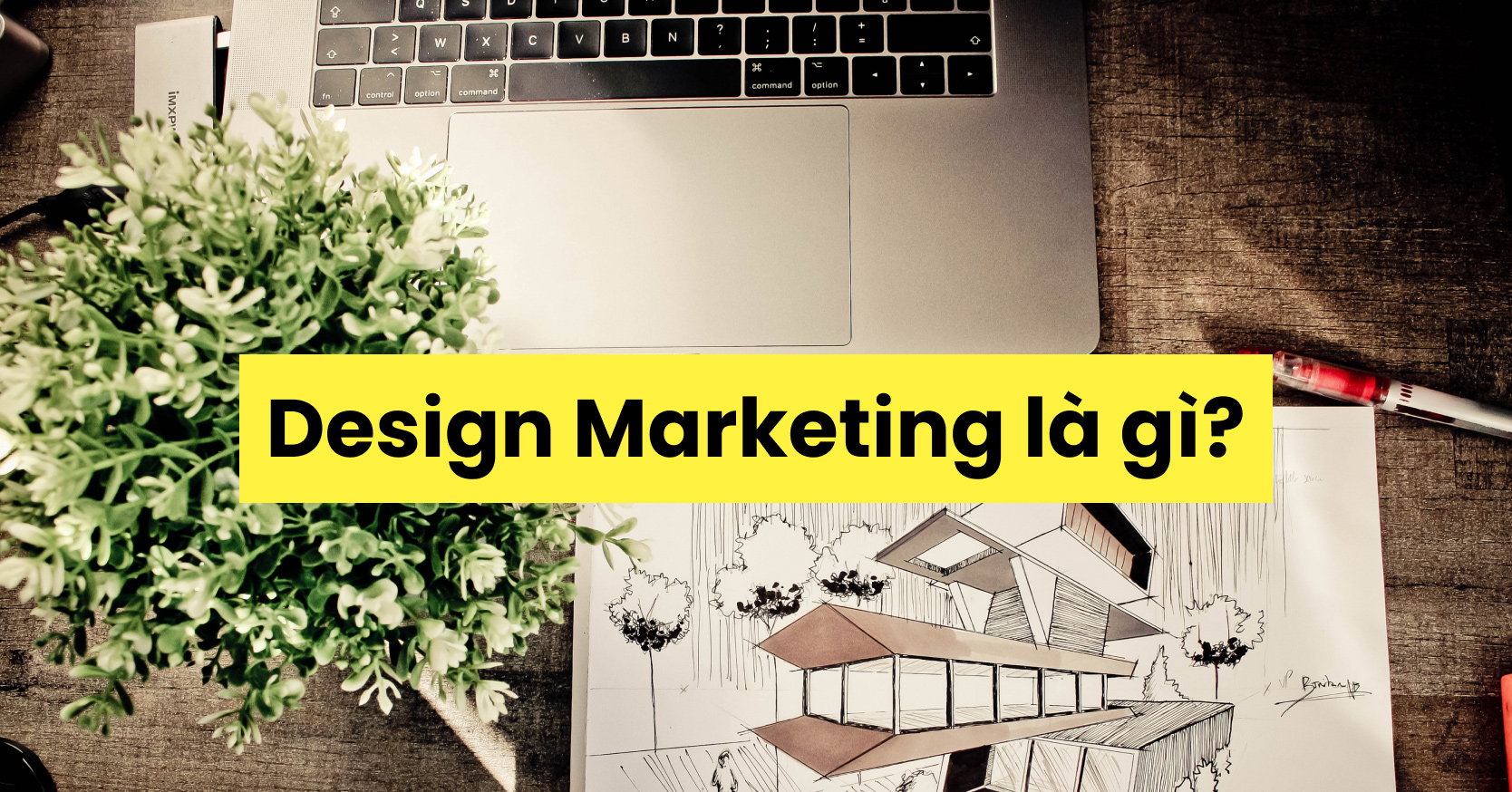 Design Marketing Là Gì?
