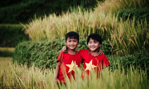 việt nam học ra làm gì