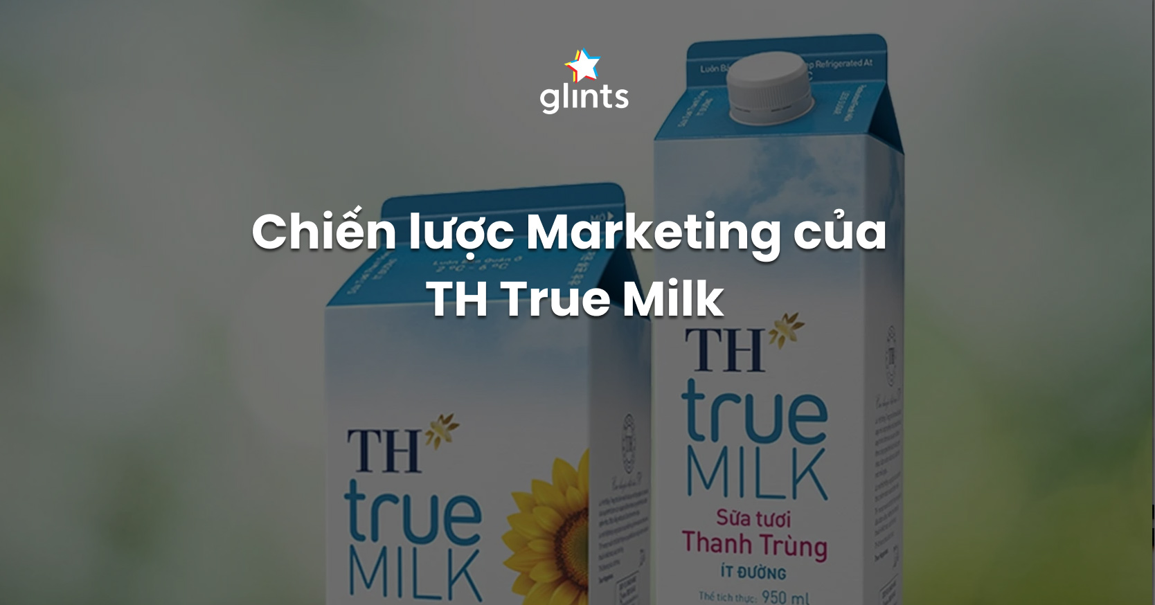 chien-luoc-marketing-cua-th-true-milk