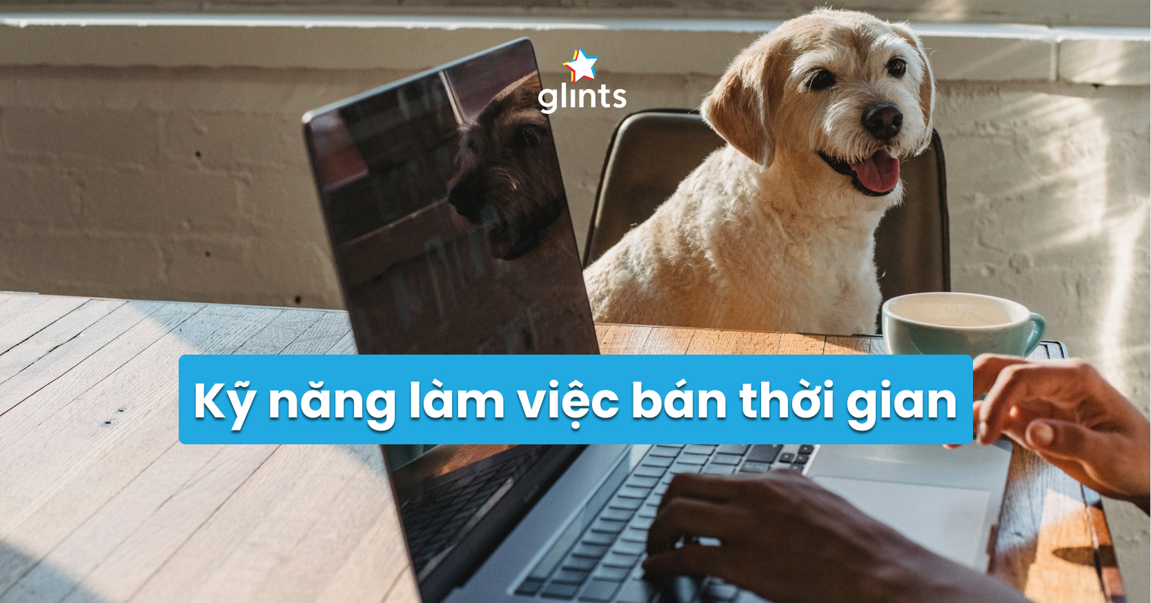 ky-nang-lam-viec-ban-thoi-gian
