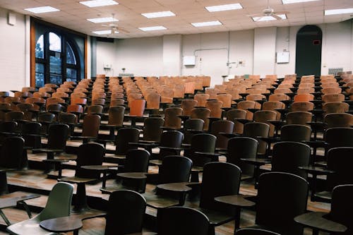 học ngành gì để làm giảng viên đại học